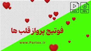 فوتیج پرواز قلب ها