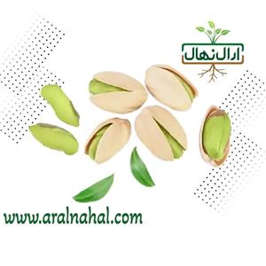 نهال پسته زرندی