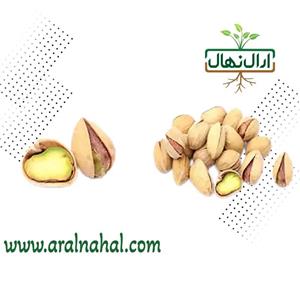 نهال پسته اوحدی