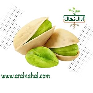 نهال پسته یو سی بی