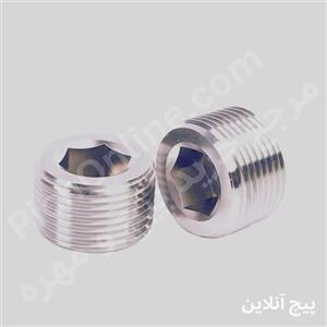 مغزی کورکن  MPT استیل 304 DIN906 سایز 1/2 اینچ