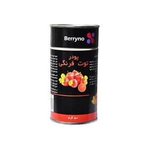 پودر توت فرنگی – Berryno