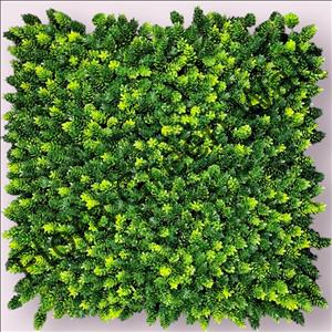 پنل گرین وال مصنوعی (دیوار سبز) کاجی کد 20GA1