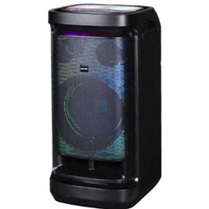 اسپیکر آیوا مدل X1125 DSP پرو