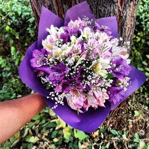 دسته گل برای عیادت2214