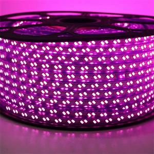 ریسه شلنگی سفید و آفتابی و آبی پارس پریا