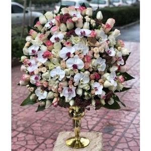 جام گل خواستگاری ها 9071