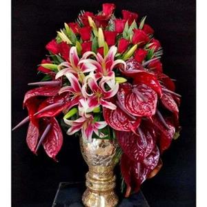 جام گل بله برون 2022 9105