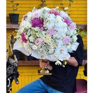 جام گل بله برون عروسی 9097