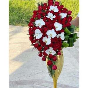 جام گل بله برون با پول 9076