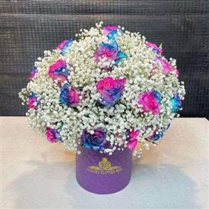 جعبه گل رز هفت رنگ a291
