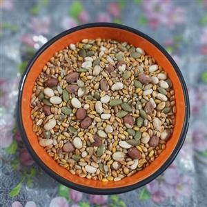 آجیل اُمگا خانگی هفت مغزبرشته دو کیلوگرم