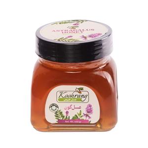 عسل طبیعی گون رویال کندو کوهرنگ - 450 گرم