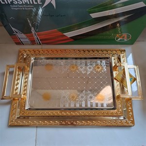 سینی تسا مدل مجلسی کد 2
