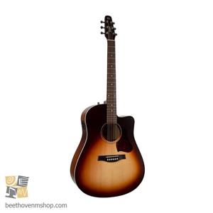 گیتار الکترو آکوستیک سیگول مدل Entourage Autumn Burst CW presys