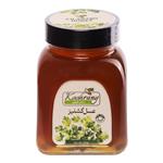 عسل طبیعی گشنیز رویال کندو کوهرنگ - 900 گرم