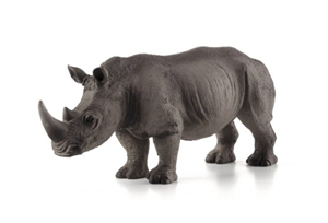 کرگدن White Rhinoceros 387103 