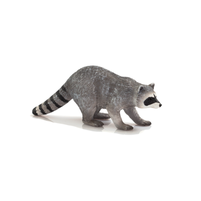 راکون Raccoon 387159