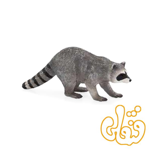 راکون Raccoon 387159