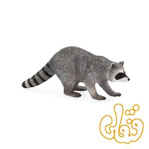 راکون Raccoon 387159