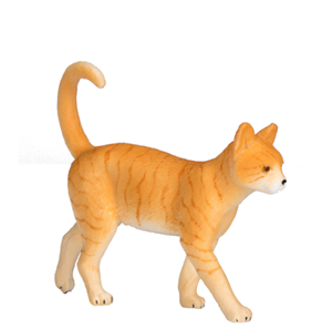 گربه ماده زرد موجو  Ginger Tabby Cat 387283 