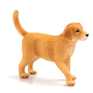 توله سگ زنده یاب طلایی موجو  Golden Retriever Puppy 387205
