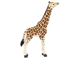 گوساله زرافه موجو Giraffe Calf 387007 