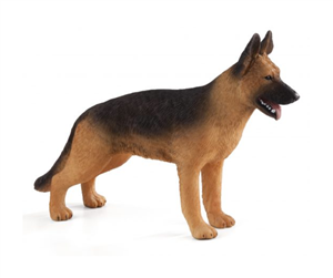 سگ ژرمن شپر موجو German Shepherd 387260 