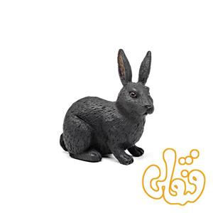 خرگوش سیاه 387029 Black Rabbit 