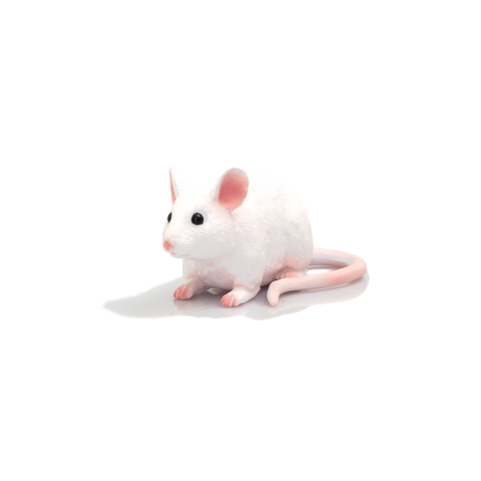 موش Mouse 387235