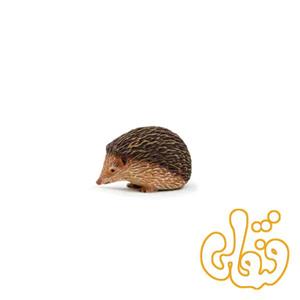 خارپشت Hedgehog 387035