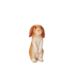خرگوش نشسته موجو  Rabbit Sitting 387141