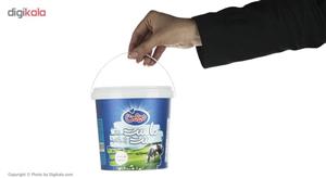 ماست ست پر چرب میهن مقدار 1500 گرم