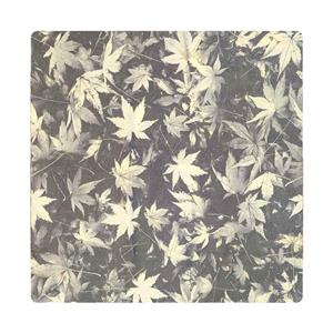 روکش لحاف آدنو مدل Autumn کد IR176 دونفره سایز 220x240 سانتی متر