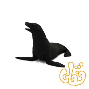 شیر دریایی کالیفرنیایی Californian Sea Lion 387115 