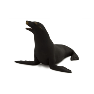 شیر دریایی کالیفرنیایی Californian Sea Lion 387115 