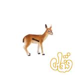 بچه غزال تامسون Thomson’s Gazelle Fawn 387123