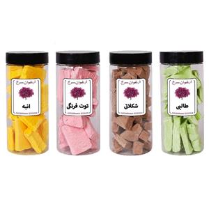 بستنی خشک طالبی ، شکلات ، توت فرنگی ، انبه ارغوان سرخ - 500 گرم بسته 4 عددی