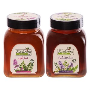 عسل طبیعی چهل گیاه رویال کندو کوهرنگ - 900 گرم به همراه عسل گون گز رویال کندو کوهرنگ - 450 گرم