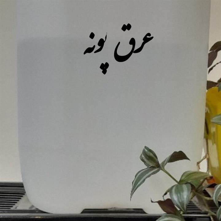 عرق پونه یک لیتری