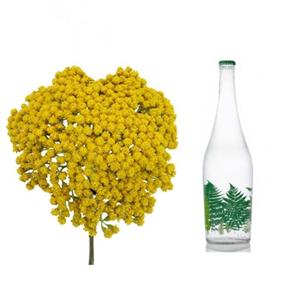 عرق بومادران ناب یک لیتری