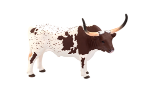گاو شاخ بلند تگزاس موجو Texas Longhorn Bull 387222