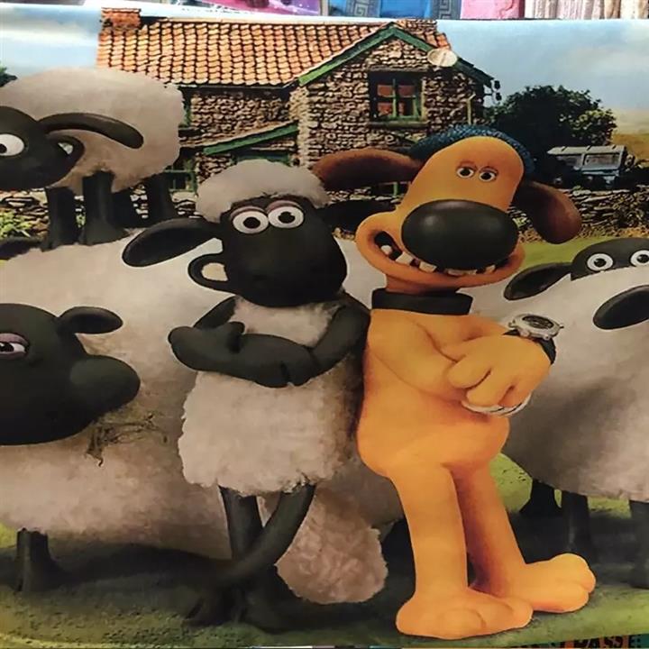 رویه بالش  نوجوان