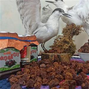 رب آلوچه ترش بام 500گرمی