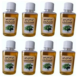 کود مایع اختصاصی انواع پتوس مدل Danesh Sabz حجم 120 میلی لیتری بسته 8 تایی