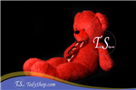 خرس پوست خرگوشی ۲ متری کد ted09