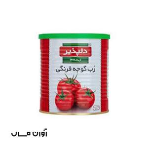 رب گوجه فرنگی دلپذیر 1 کیلوگرم