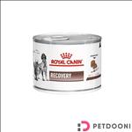 کنسرو غذای سگ و گربه رویال کنین Royal Canin Recovery Mousse Can وزن ۱۹۵ گرم