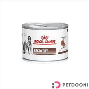 کنسرو غذای سگ و گربه رویال کنین Royal Canin Recovery Mousse Can وزن ۱۹۵ گرم