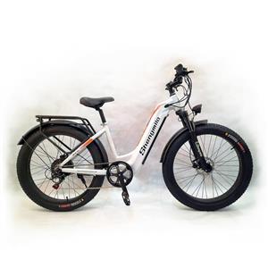 دوچرخه برقی حرفه ای Shengmilo-MX06